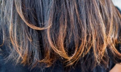 Cabelo Poroso? Aprenda a Identificar e Tratar Agora Mesmo